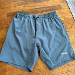 Birdwell Beach Britches Small Men's Board Shorts Grey / Blue